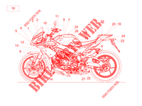 STICKERS BODY 1100 aprilia-motorcycle TUONO 2020 22